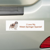 Welsh Springer Spaniel Bumpersticker (Op auto)
