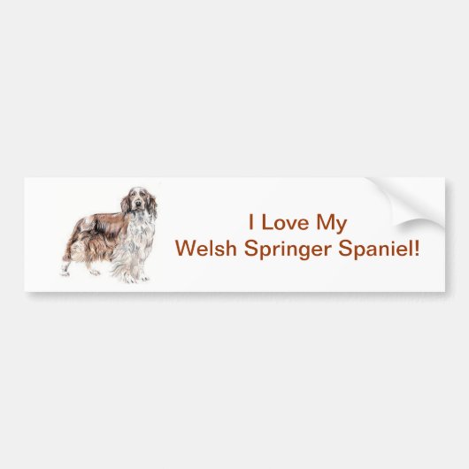 Welsh Springer Spaniel Bumpersticker (Voorkant)