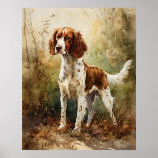 Welsh Springer Spaniel Dog Art Print Poster (Voorkant)