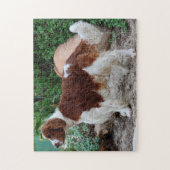 Welsh Springer Spaniel Dog Jigsaws. Legpuzzel (Verticaal)