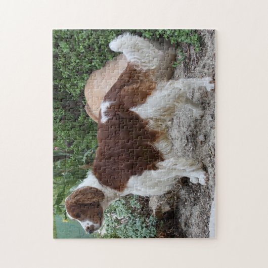 Welsh Springer Spaniel Dog Jigsaws. Legpuzzel (Verticaal)