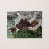 Welsh_Springer_Spaniel_full.png Legpuzzel (Horizontaal)
