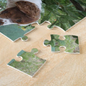 Welsh_Springer_Spaniel_full.png Legpuzzel (Zijkant)