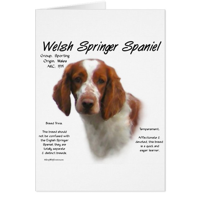 Welsh Springer Spaniel Geschiedenis Ontwerp (Voorkant)