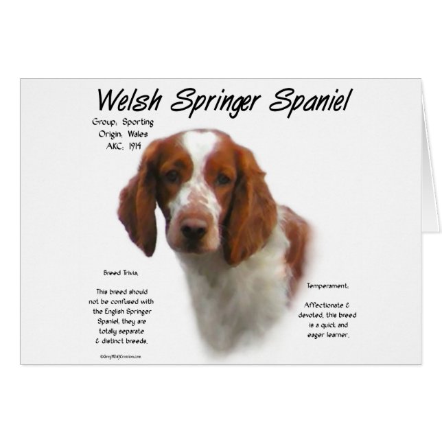 Welsh Springer Spaniel Geschiedenis Ontwerp (Voorkant Horizontaal)