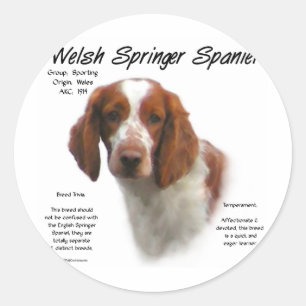 Welsh Springer Spaniel Geschiedenis Ontwerp Ronde Sticker