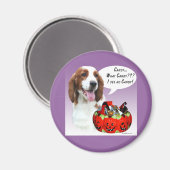 Welsh Springer Spaniel Halloween Snoep Magneet (Voorkant / Achterkant)