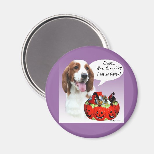 Welsh Springer Spaniel Halloween Snoep Magneet (Voorkant / Achterkant)