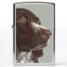 Welsh Springer Spaniel hond Zippo aansteker