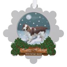 Welsh Springer Spaniel kerstcadeaus