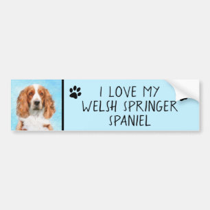 Welsh Springer Spaniel Painting - Original Dog Art Bumpersticker