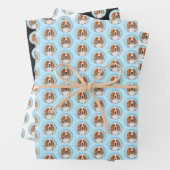 Welsh Springer Spaniel Painting - Original Dog Art Inpakpapier Vel (In situ)