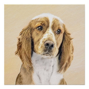 Welsh Springer Spaniel Painting - Original Dog Art Perfect Poster