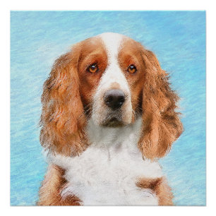 Welsh Springer Spaniel Painting - Original Dog Art Perfect Poster