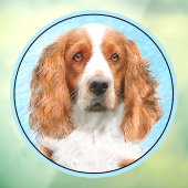 Welsh Springer Spaniel Painting - Original Dog Art Raamsticker (Vel 3)
