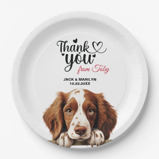 Welsh Springer Spaniel Papieren Bordje (Voorkant)