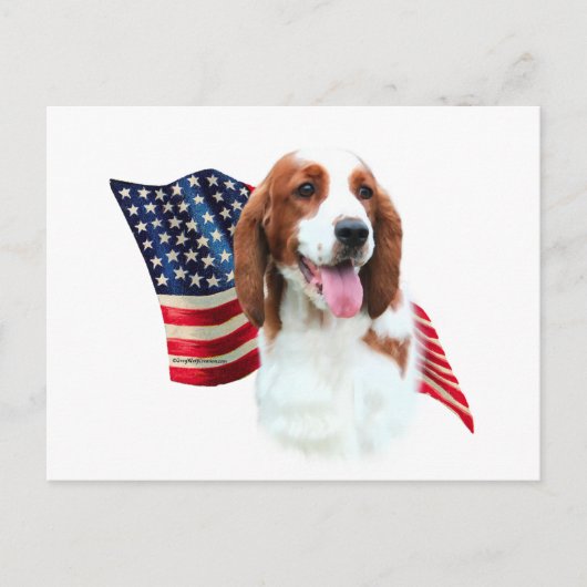 Welsh Springer Spaniel Vlag Briefkaart (Voorkant)