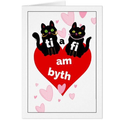 Welsh St. Dwynwen's Day Ti a Fi am Byth (Voorkant)