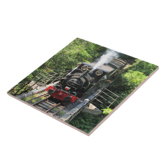 Welsh Steam Train. Tegeltje (Zijkant)