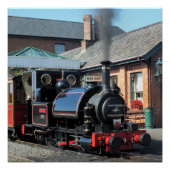 WELSH STEAM TRAINS PERFECT POSTER (Voorkant)