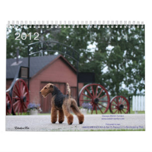 Welsh Terrier 2012 Agenda van Darwyn Kalender