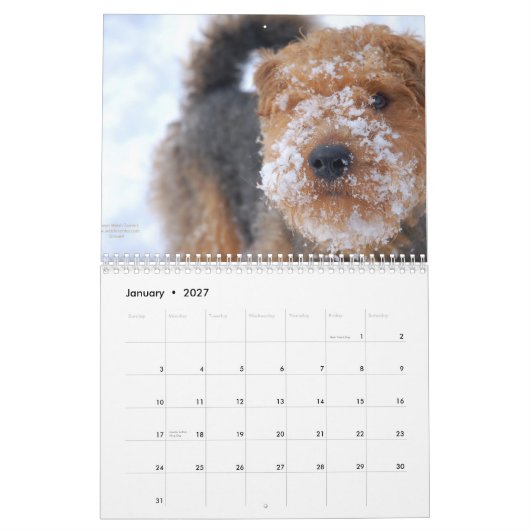 Welsh Terrier 2012 Agenda van Darwyn Kalender (Jan 2027)