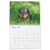 Welsh Terrier 2012 Agenda van Darwyn Kalender (Feb 2027)