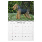 Welsh Terrier 2013 Agenda van Darwyn Kalender (Feb 2027)