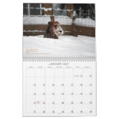 Welsh Terrier 2013 Agenda van Darwyn Kalender (Jan 2027)