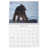 Welsh Terrier 2013 Agenda van Darwyn Kalender (Mar 2027)