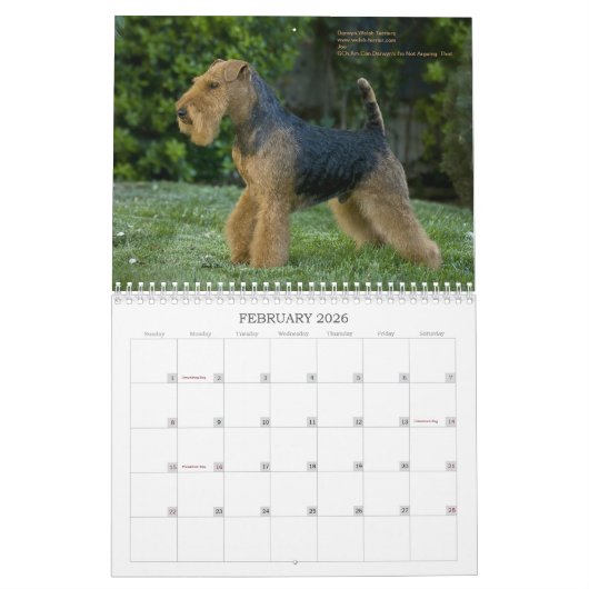 Welsh Terrier 2013 Agenda van Darwyn Kalender (Feb 2026)