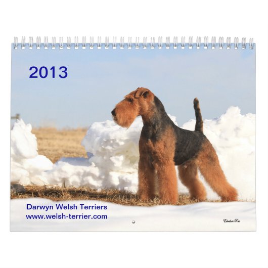 Welsh Terrier 2013 Agenda van Darwyn Kalender (Hoes)