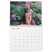 Welsh Terrier 2014 Agenda van Darwyn Kalender (Mar 2027)