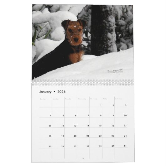 Welsh Terrier 2014 Agenda van Darwyn Kalender (Jan 2026)