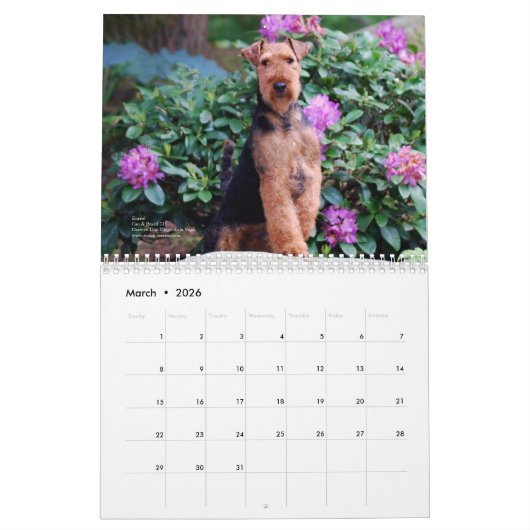 Welsh Terrier 2014 Agenda van Darwyn Kalender (Mar 2026)