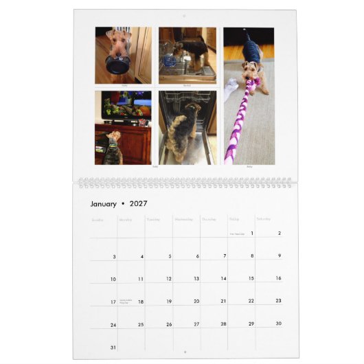 Welsh Terrier 2015 Agenda door SBWT Kalender (Jan 2027)