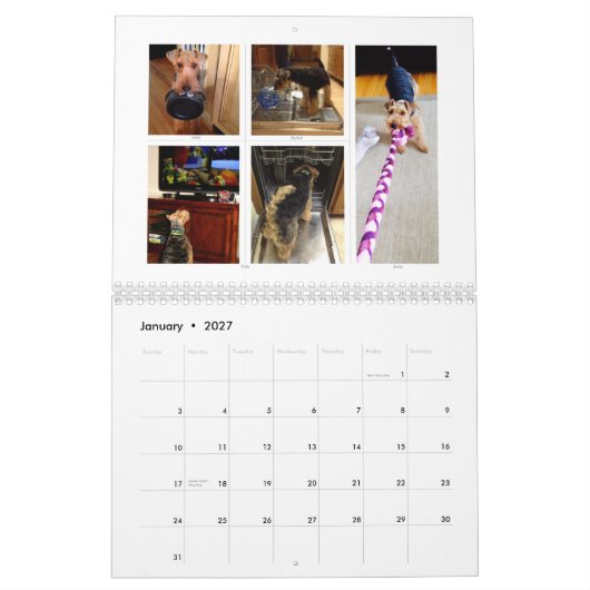 Welsh Terrier 2015 Agenda door SBWT Kalender (Jan 2027)