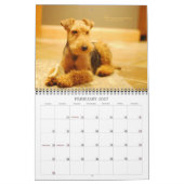 Welsh Terrier 2015 Agenda van Darwyn Kalender (Feb 2027)