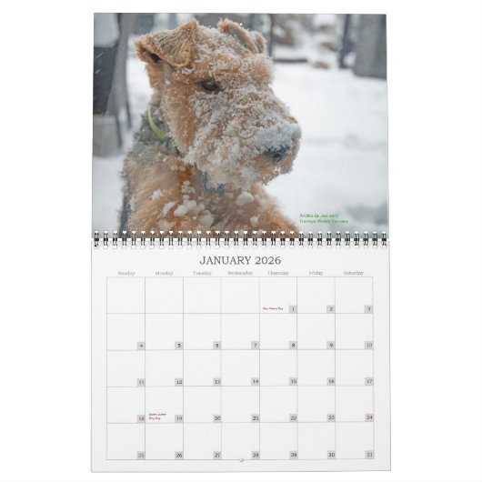 Welsh Terrier 2015 Agenda van Darwyn Kalender (Jan 2026)