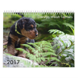 Welsh Terrier 2017 Agenda van Darwyn Kalender