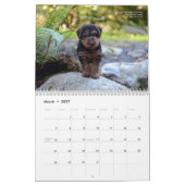 Welsh Terrier 2017 Agenda van Darwyn Kalender (Mar 2027)
