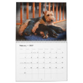 Welsh Terrier 2017 Agenda van Darwyn Kalender (Feb 2027)