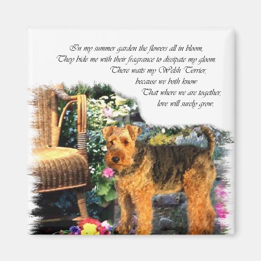 Welsh Terrier Art Gifts Magneet (Voorkant)