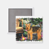 Welsh Terrier Art Gifts Magneet (Voorkant / Achterkant)