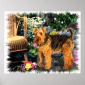 Welsh Terrier Art Print (Voorkant)