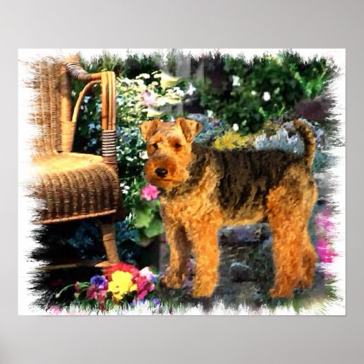 Welsh Terrier Art Print (Voorkant)