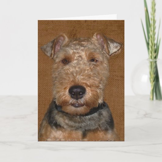 Welsh Terrier Birthday Humor Kaart (Voorkant)