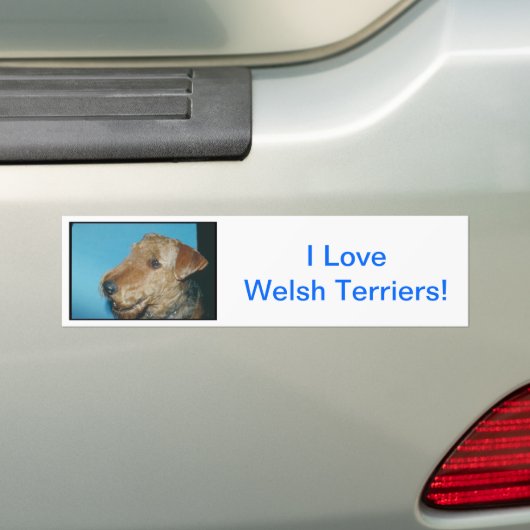 Welsh Terrier Bumpersticker (Op auto)