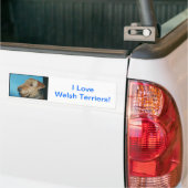 Welsh Terrier Bumpersticker (Op Truck)