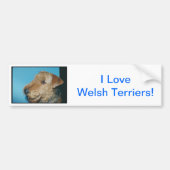 Welsh Terrier Bumpersticker (Voorkant)
